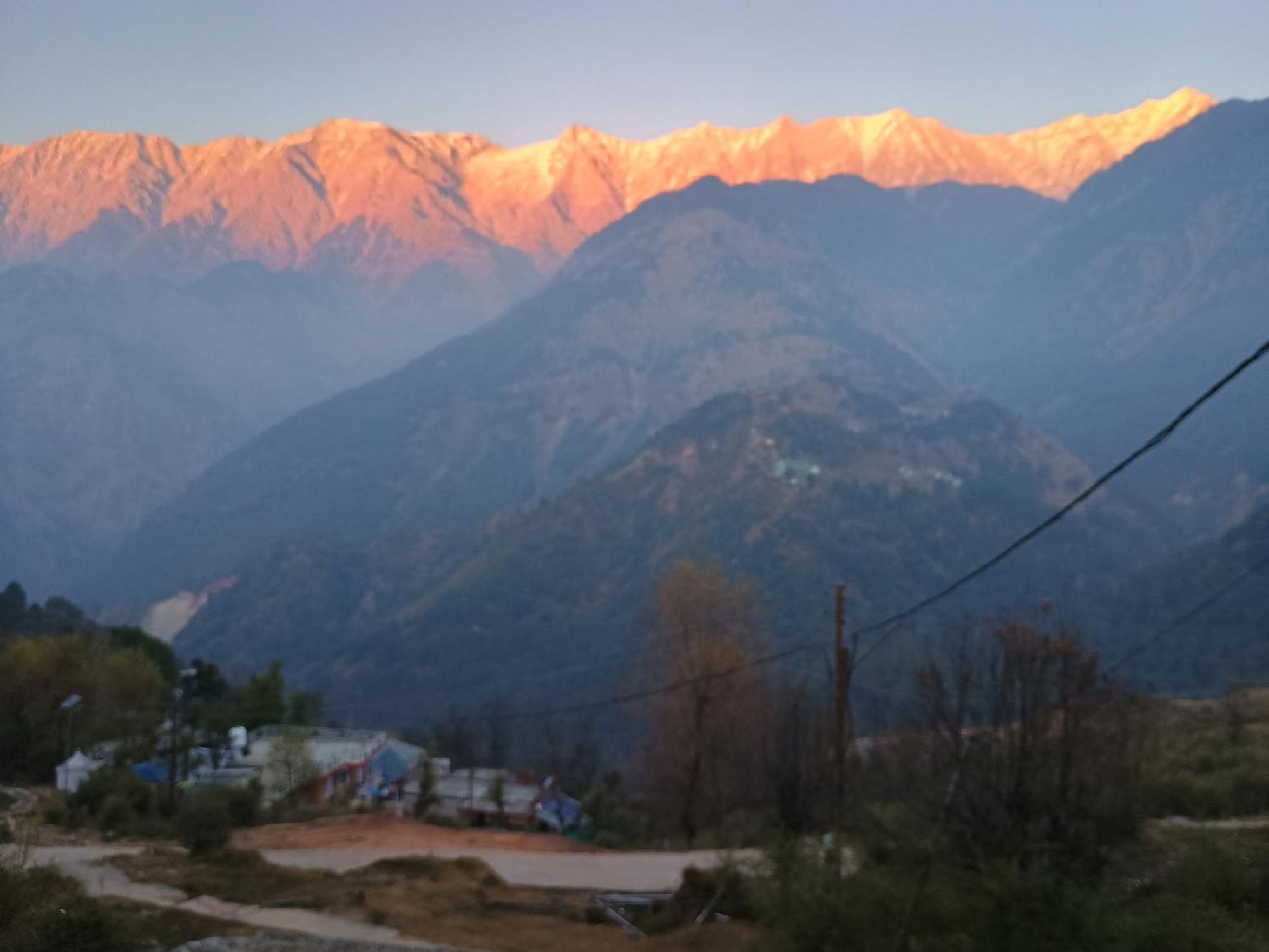 Mcleodganj Diaries Guest House Dharamshala Bagian luar foto